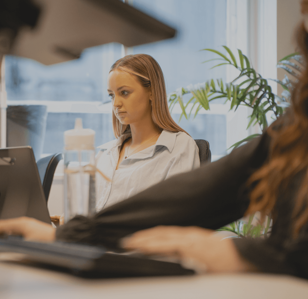 Executive Search